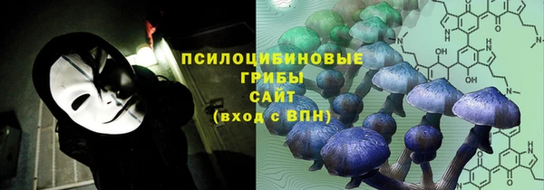 дмт Алзамай