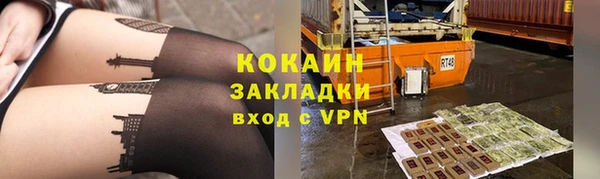 твердый Арсеньев