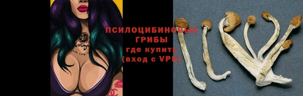 ешки Алексин