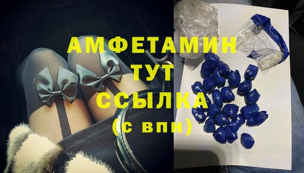 крисы Армянск