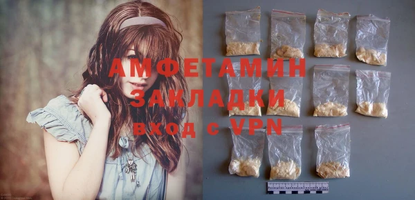 шишки Абаза