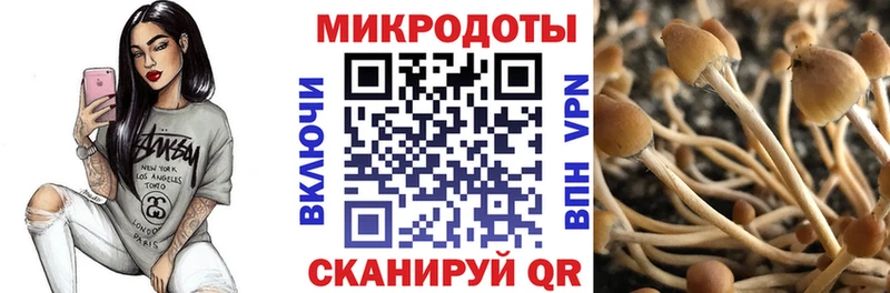 Галлюциногенные грибы Psilocybe  сайты даркнета формула  Миньяр 